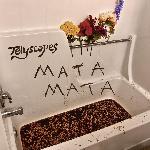 Telyscopes - Mata Mata
