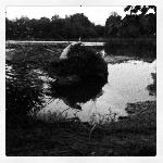 The Pugilist - The Light of Lonliness