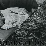 Starvation/Negative Reinforcement - Split