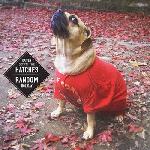 Batten Down The Hatches - Batten Down The Hatches Random Holiday Split EP