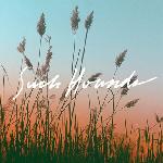 Such Hounds - I Hate Summer