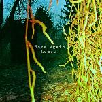 Home Again - Leave