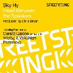 Sky Hy - Head Between The Speakers