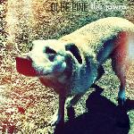 Olde Pine - The Jawns