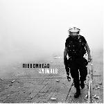 Ribbonhead - Animals