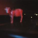 Aural Burrows - Nonsense Verse