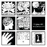 Telyscopes - 3X3 (Little Square Boxes)