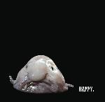 thom. - HAPPY!