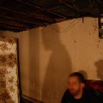 Thieves and Assassins - Patterned Lives