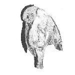 figure/ground - South