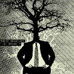 These Branches - The Payoff