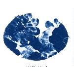 Tigers Jaw/Black Clouds - Split