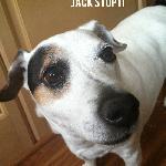 Takeaway - Jack Stop It EP